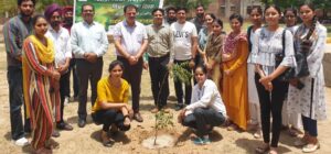 World Environment day (2)