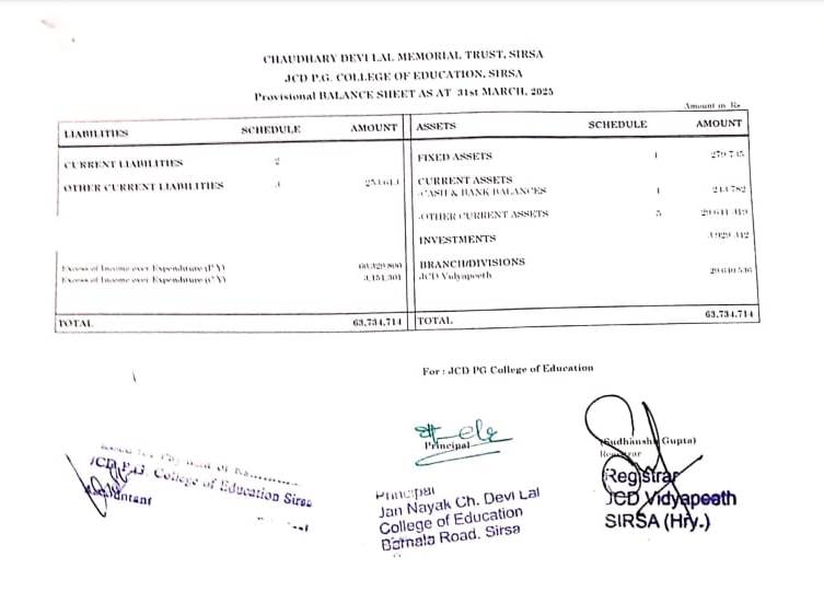 balance sheet 2024-25
